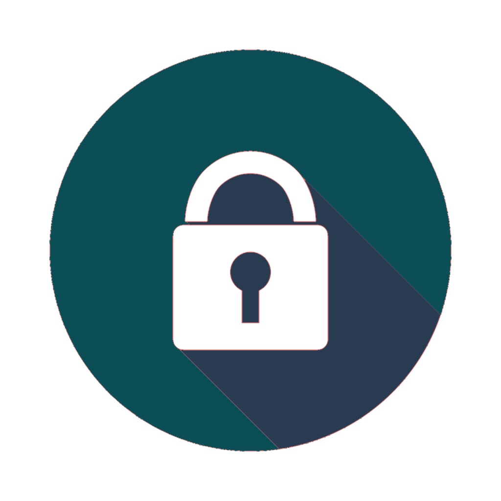 WordPress Safe